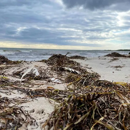펜션 Cozy Summer House Near 보르딩보르그