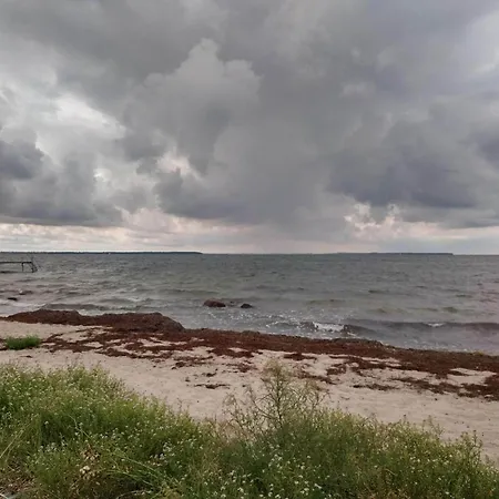 Cozy Summer House Near Feriehus *