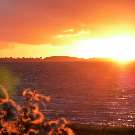 Cozy Summer House Near