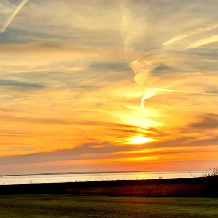 Cozy Summer House Near 펜션