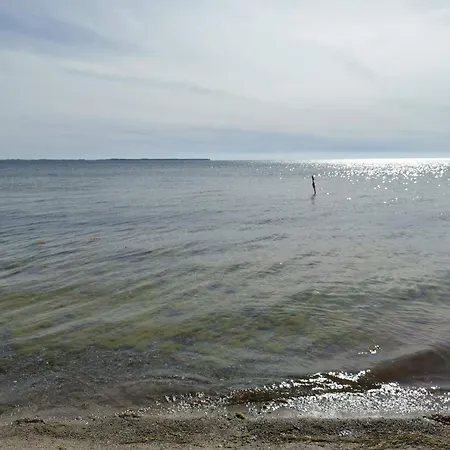 Cozy Summer House Near *