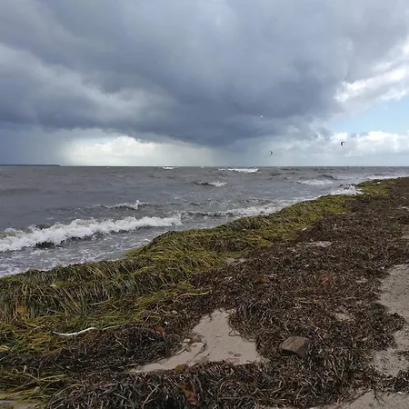 Cozy Summer House Near 펜션 보르딩보르그